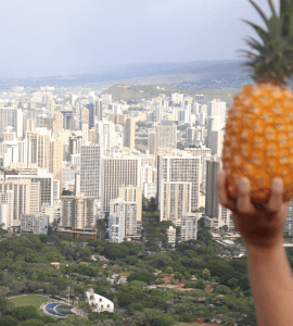 高地トレーニング